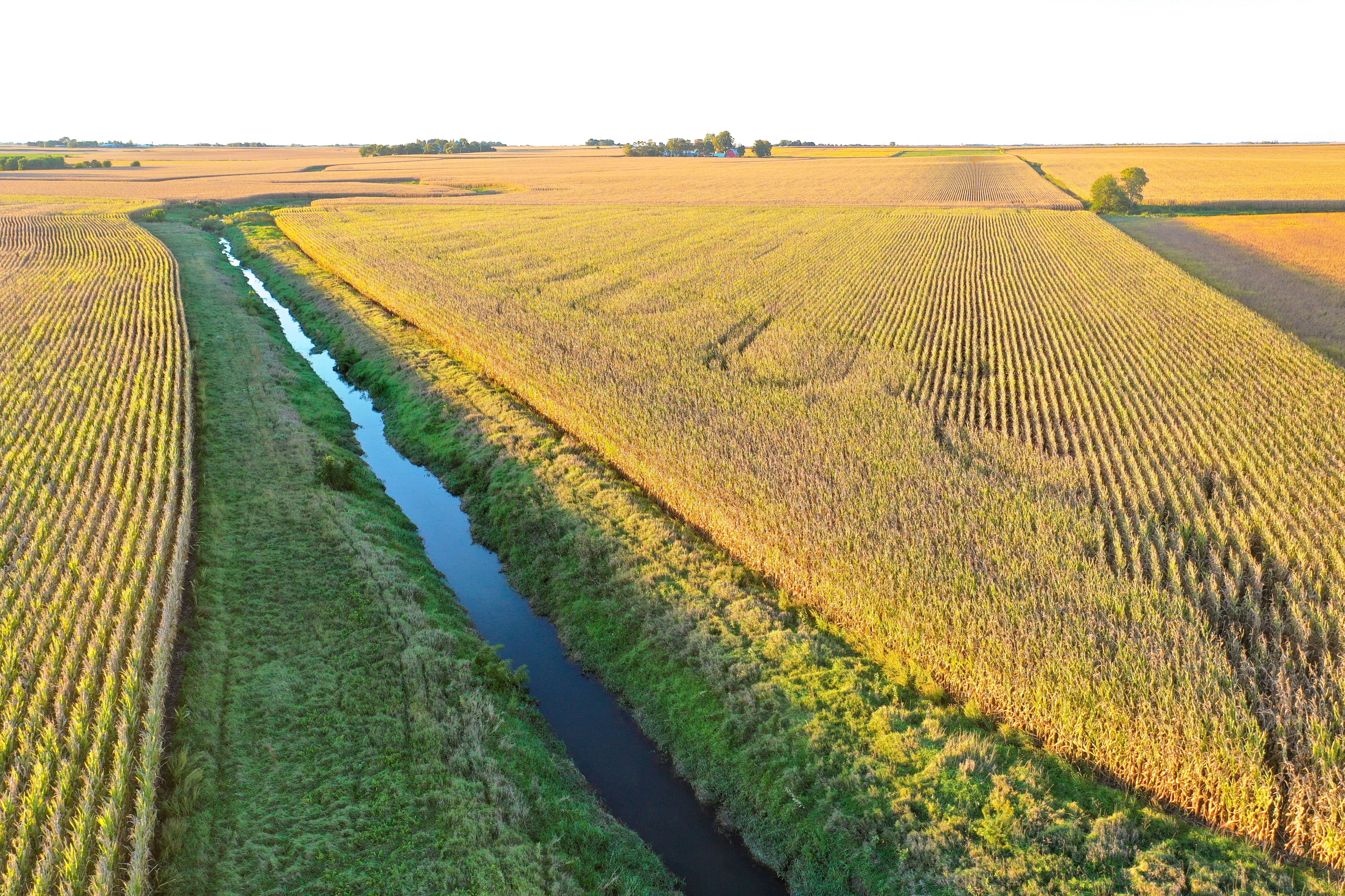 Listing Photo: 14-Butler Co IA Farmland Available